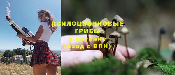 соль ск Алексеевка