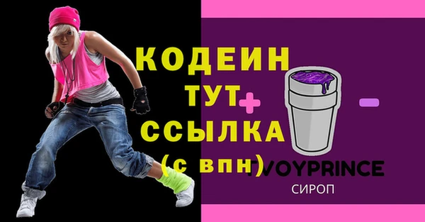 дурь Ельня