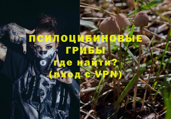 соль ск Алексеевка